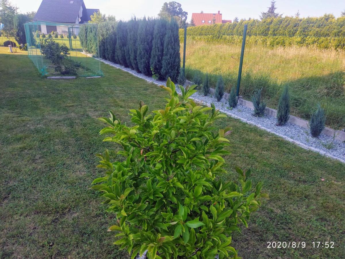 Gorskie Marzenie Przeciszow Exterior foto